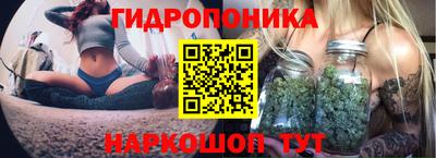 соль ск Ипатово