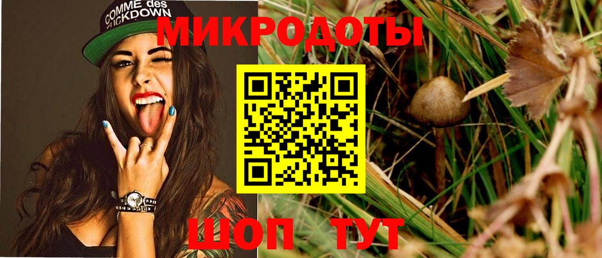 Галлюциногенные грибы Cubensis  Вход с VPN  Лабытнанги  Галлюциногенные грибы прущие грибы 